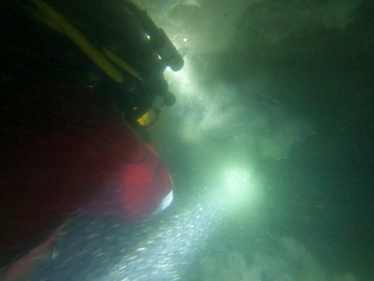 Pipeline & Intake Cleaning Services